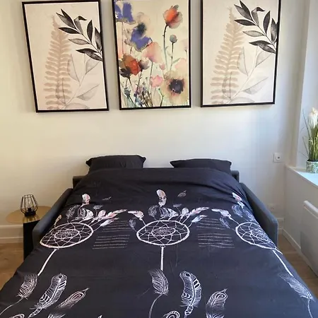 Appartement Cathedrale Strasbourg